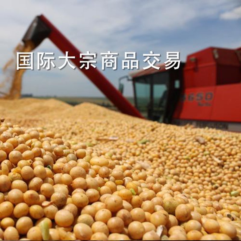 外贸代理行业动态探讨：把握市场机遇